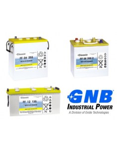 Batería GNB Classic FF08147K