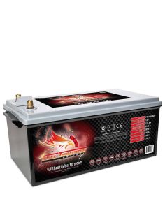 Batería Fullriver FT1450-8D