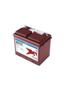 Batería Trojan 24TMX 12V