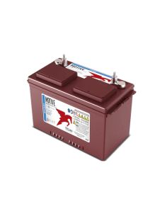 Batería Trojan 27TMH 12V