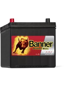 Batería Banner P60 69
