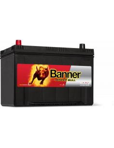Batería Banner P95 05
