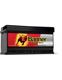 Batería Banner P95 33