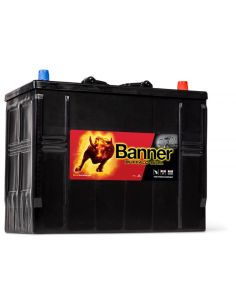 Batería Banner 625 11