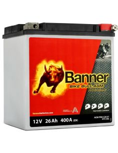 Batería Banner AGM PRO 530 01