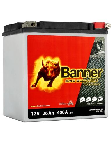 Batería Banner AGM PRO 530 01